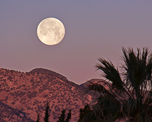 Fort Huachuca, AZ
