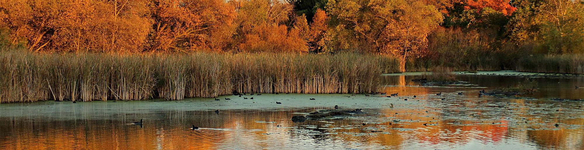 Plymouth Minnesota Minnesota