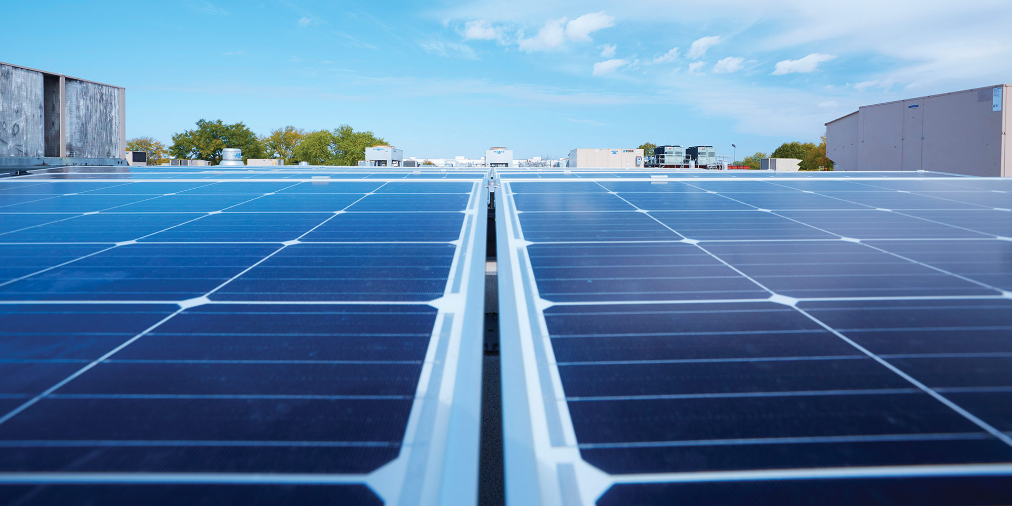 Zeroing in on Greener Business Zeroing in on Greener Business